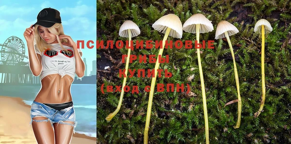 марихуана Абаза