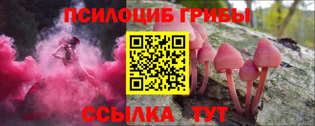 Барнаул  Псилоцибиновые грибы Psilocybine cubensis  Вход с VPN 